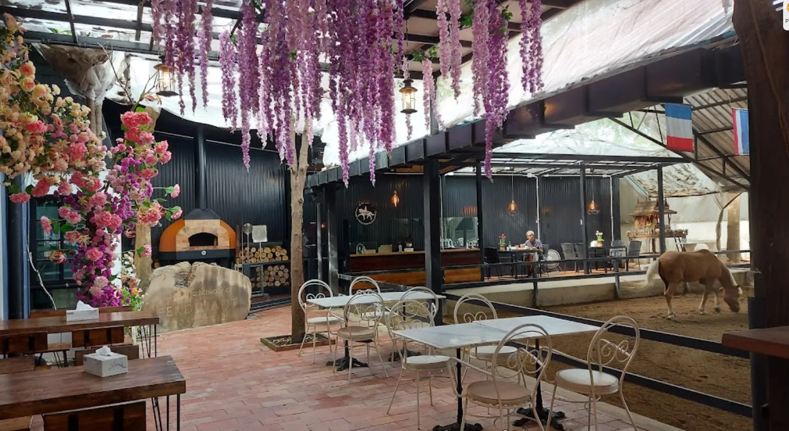 Dressage Horse Café Bangkok